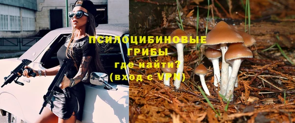 скорость Аркадак