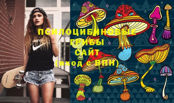 ГАЛЛЮЦИНОГЕННЫЕ ГРИБЫ Арсеньев