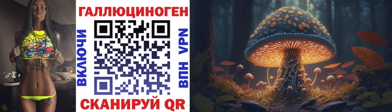 дарнет шоп  Северо-Курильск  Псилоцибиновые грибы MAGIC MUSHROOMS 